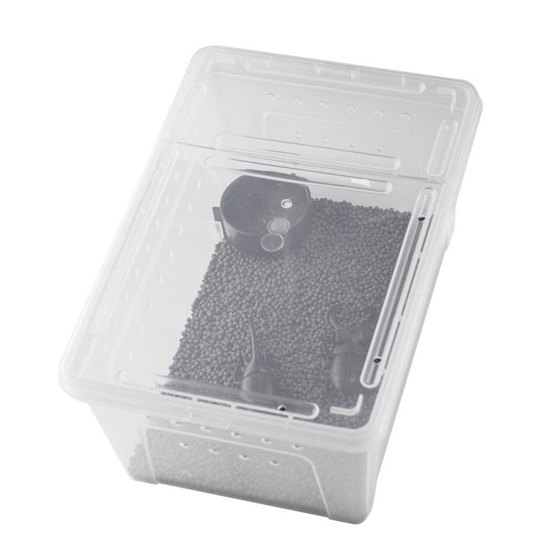 OMEM Portable Reptile Terrarium Habitat for Mini Pet Houses Breathable Holes Stackable Container (M) - Image 5